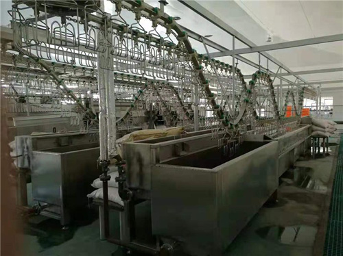 案例展示